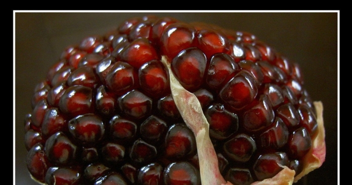 Среднеазиатский гранат