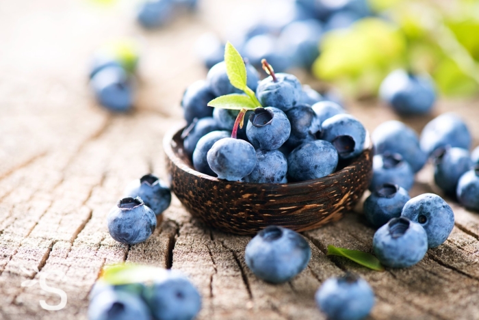 Голубика 1 ягода