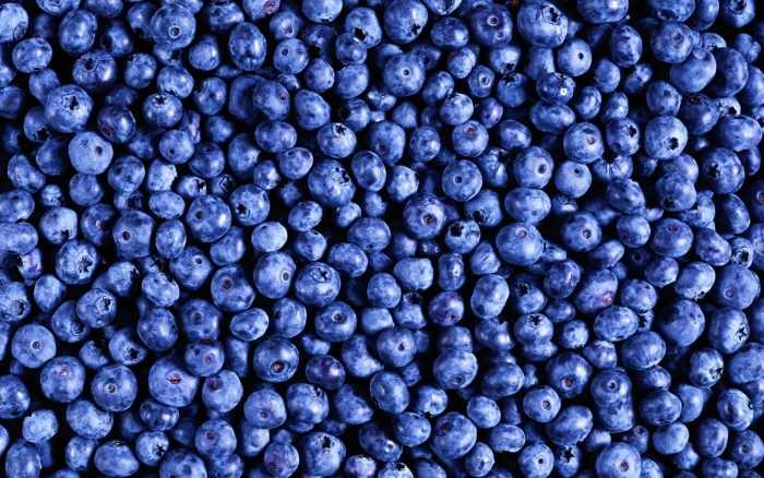 Черника голубика