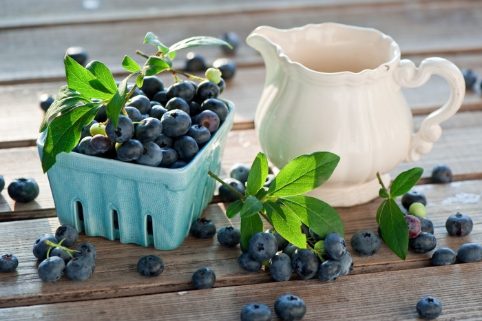 Черника blueberry