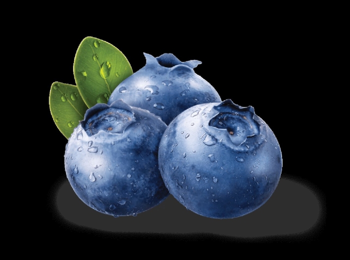 Черника blueberry