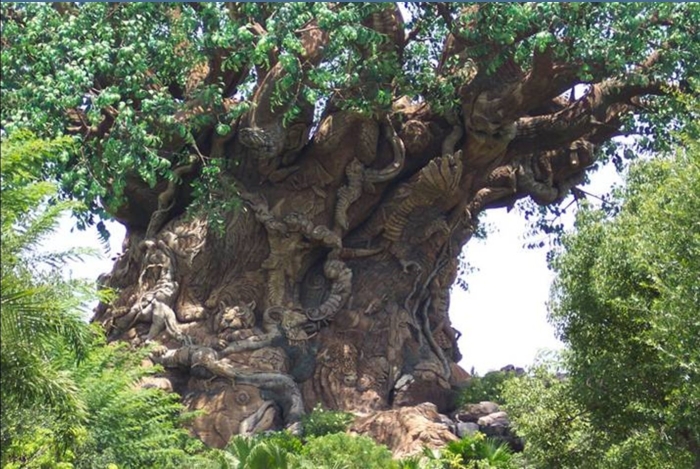 Disney s animal kingdom
