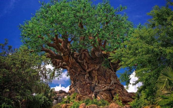 Disney s animal kingdom theme park