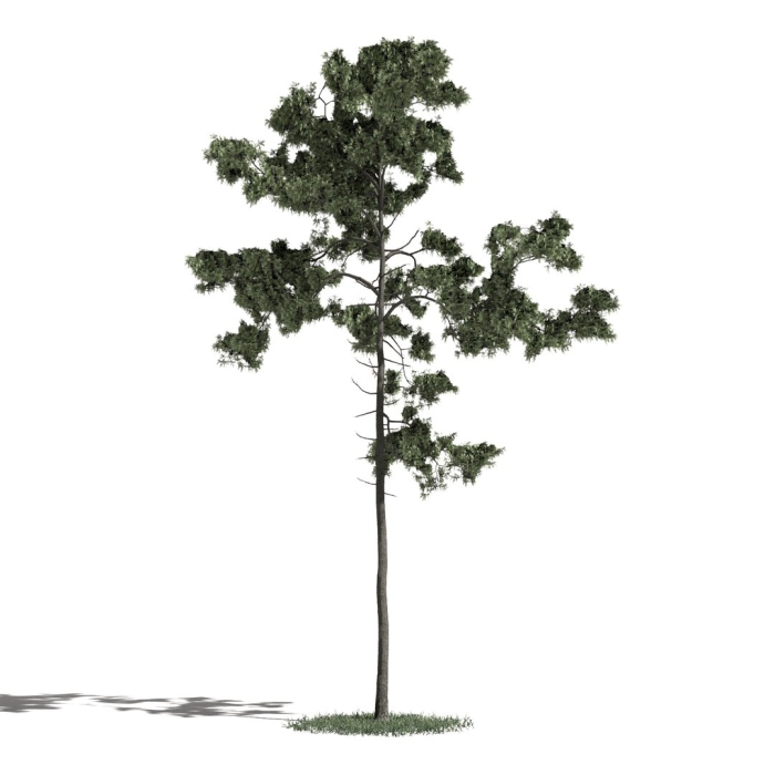 Evermotion archmodels vol. 117