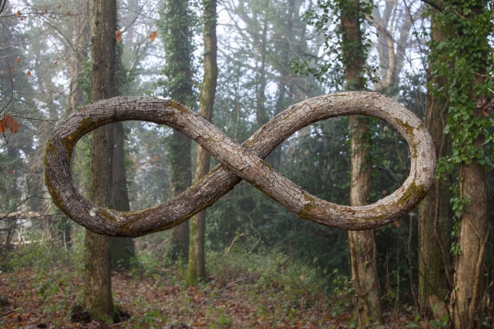 Скрученное дерево