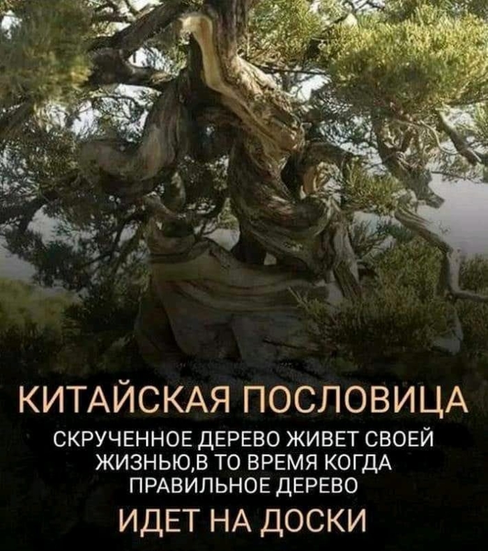 Китайская пословица