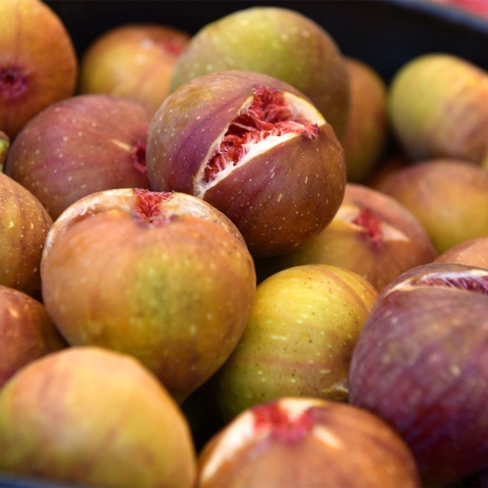 Инжир армения ~ г