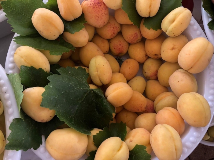 Армянские абрикосы