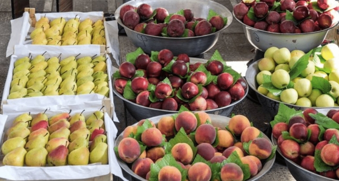 Ярмарка узбекистан