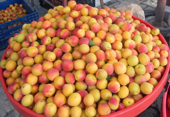 Узбекские абрикосы