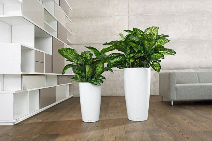 Кашпо лечуза рондо