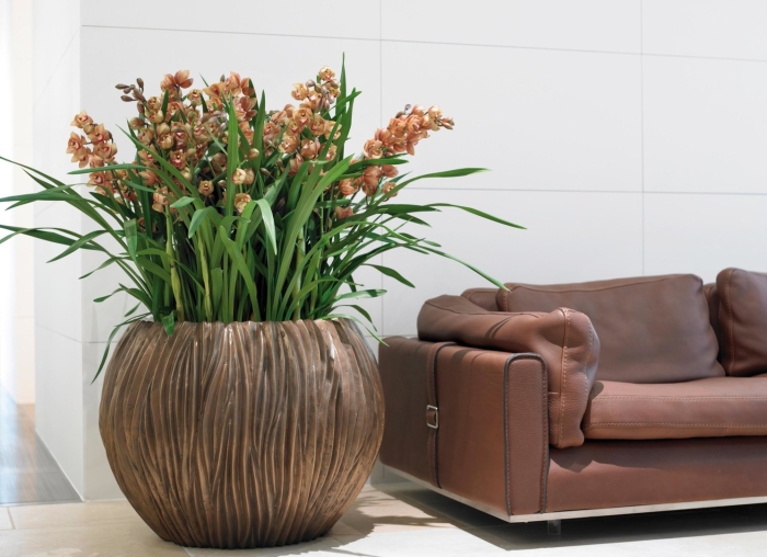 Цветы в горшках интерьере