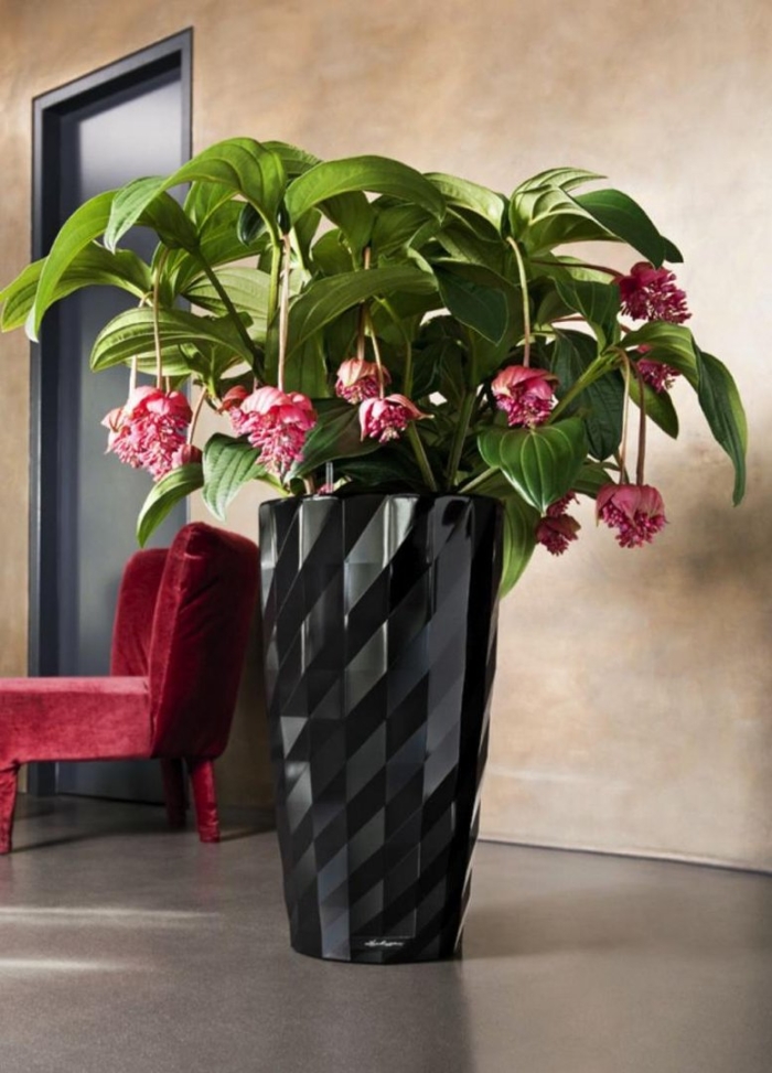 Lechuza diamante кашпо