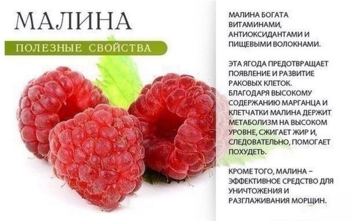 Малина полезные свойства