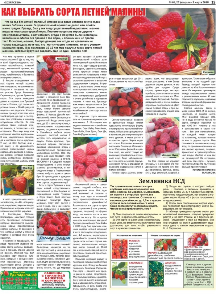 Таблица сортов малины по урожайности