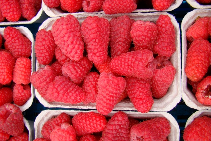 Малина сорт: лячка