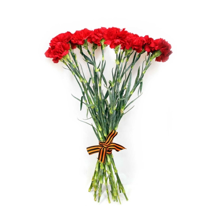 Букет красных гвоздик 9 мая
