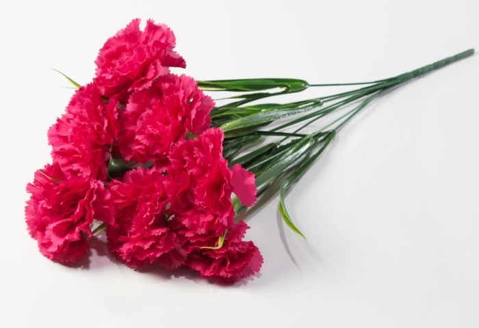 Букет гвоздик