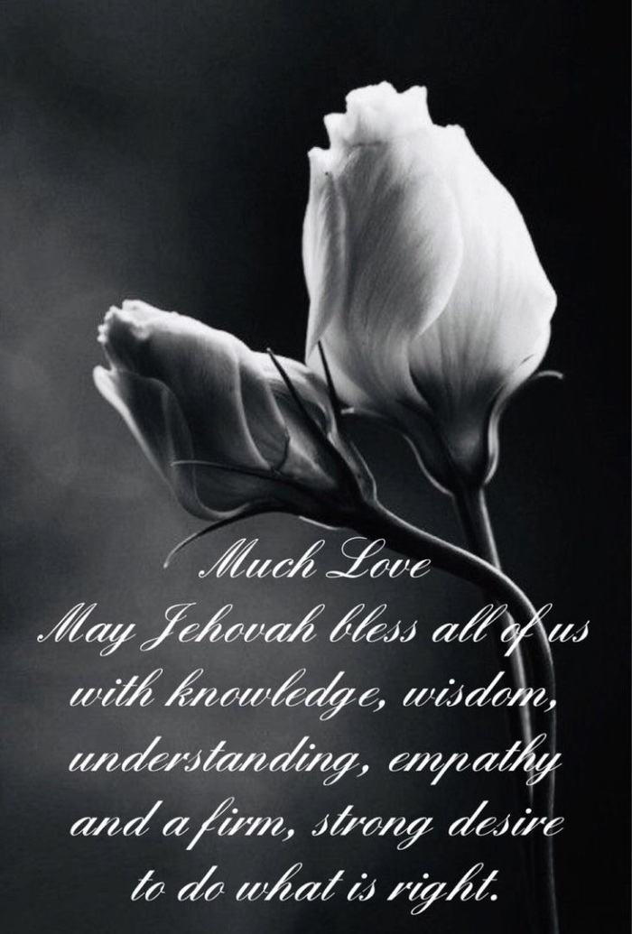 Красивые цветы белые