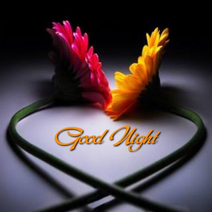 Good night sweet dreams
