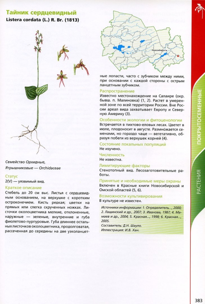 Растения красной книги новосибирской области