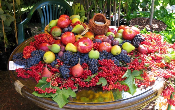 Фрукты на стол