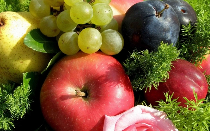 Фрукты летом