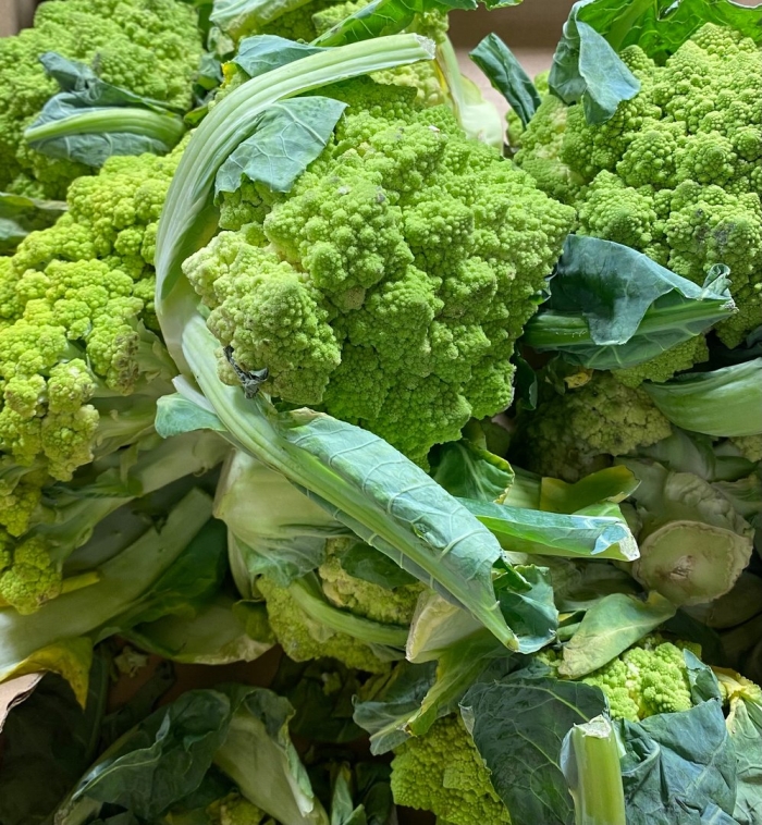 Капуста романеско