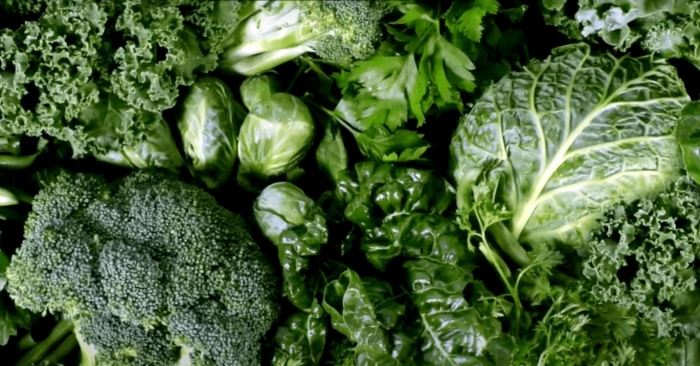 Капуста брокколи