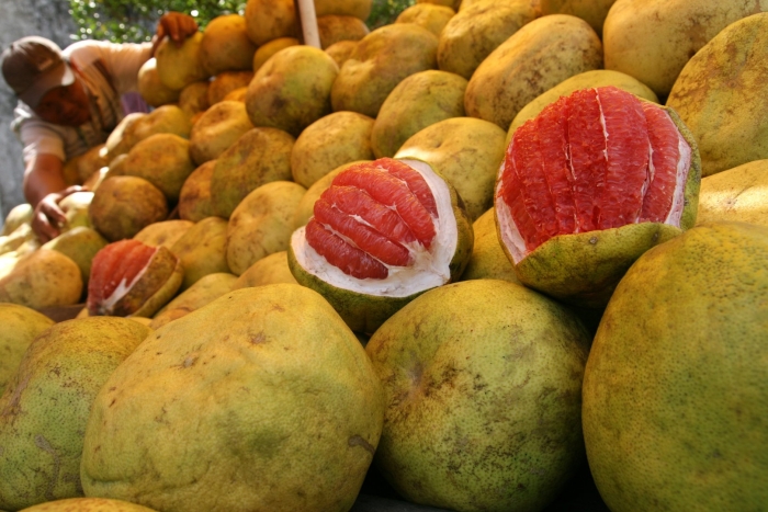 Цитрус помело