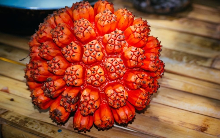 Пандан плод