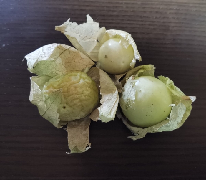 Физалис овощной мексиканский