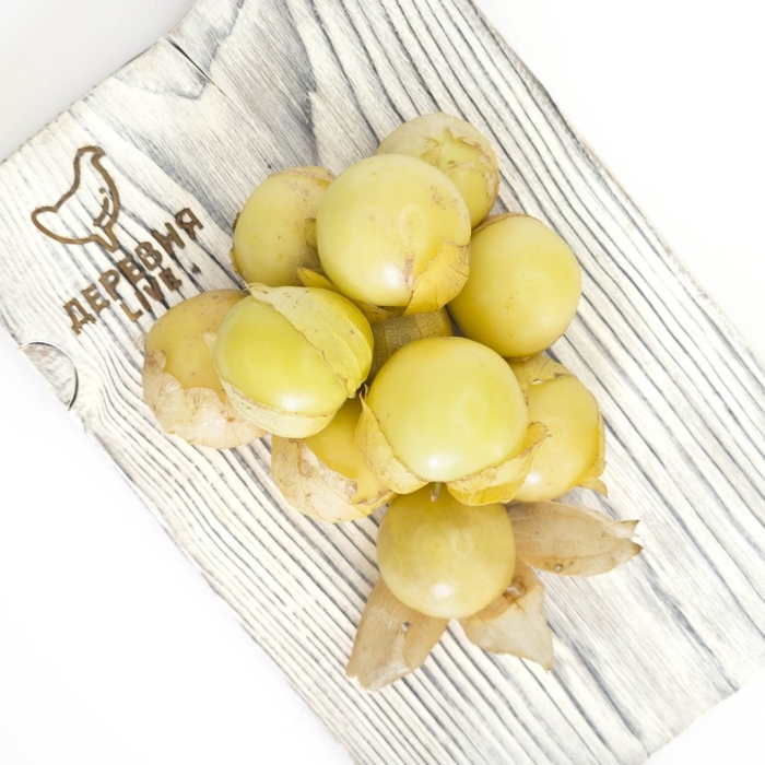 Физалис кудесник гавриш