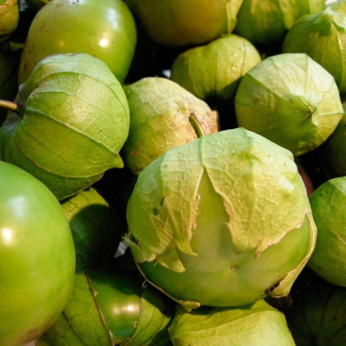 Физалис перуанский