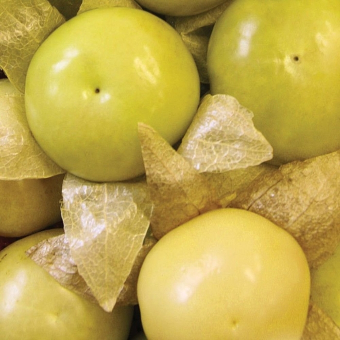 Физалис овощной кондитер