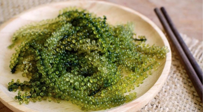 Каулерпа (caulerpa lentillifera) – «морской виноград»