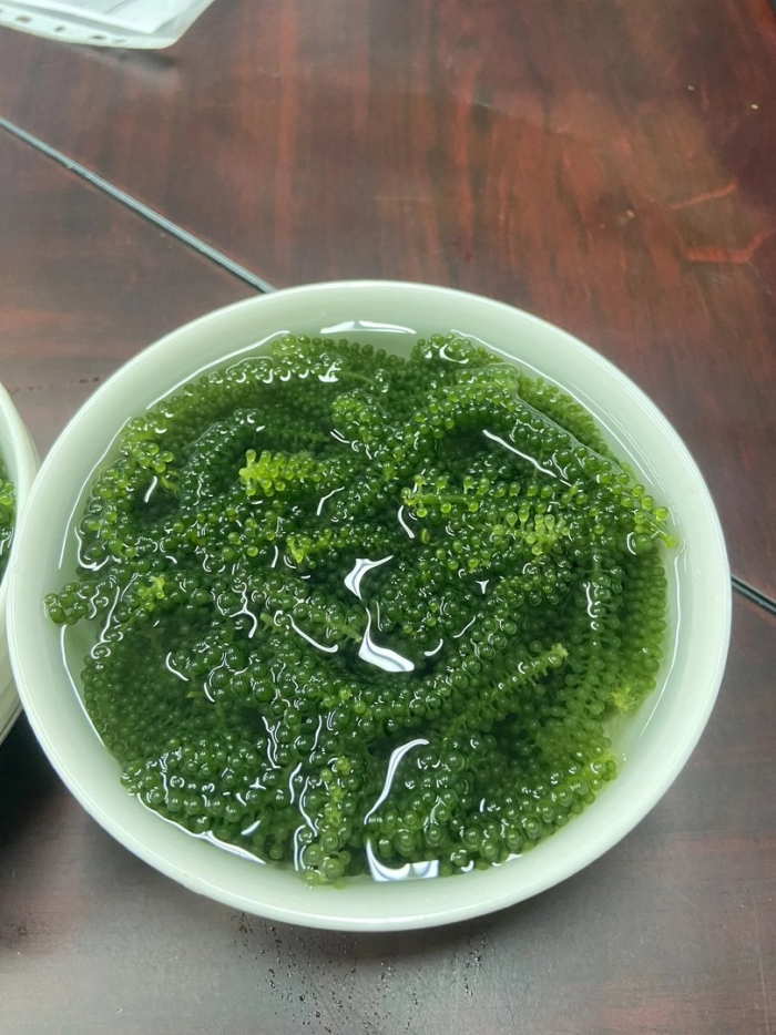 Морской виноград уми будо