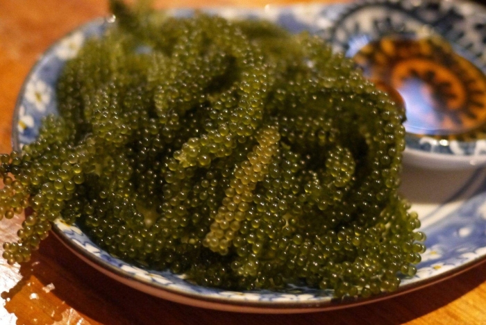 Морской виноград водоросли сахалин