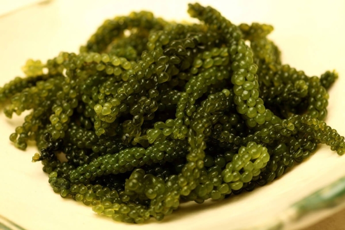 Морской виноград по корейски