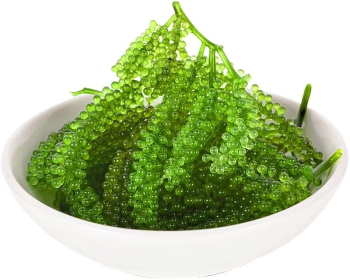 Каулерпа (caulerpa lentillifera) – «морской виноград»
