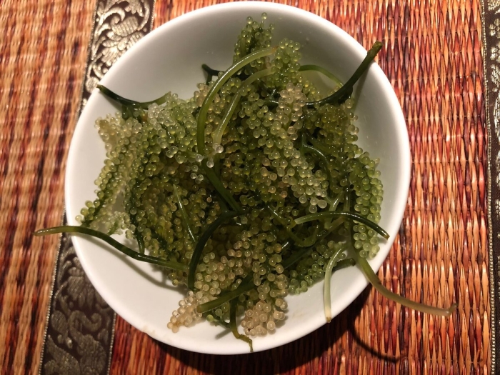 Морской виноград уми будо