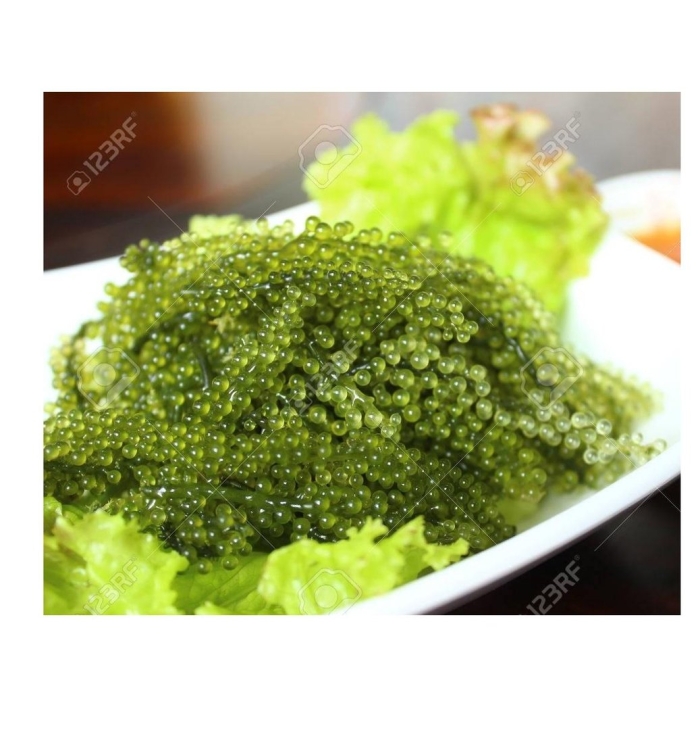 Морской виноград уми будо