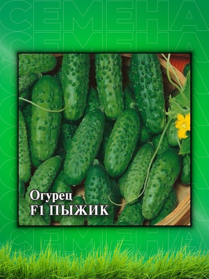 Гавриш огурец пыжик f1