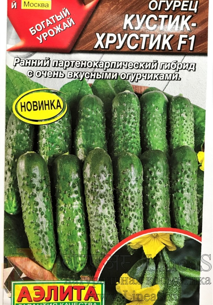 Огурец кустик хрустик