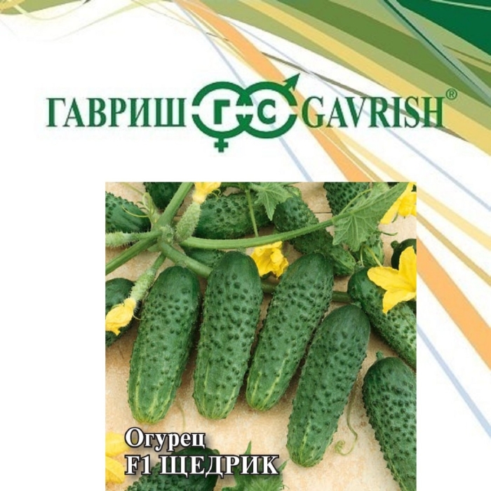 Семена гавриш от автора огурец