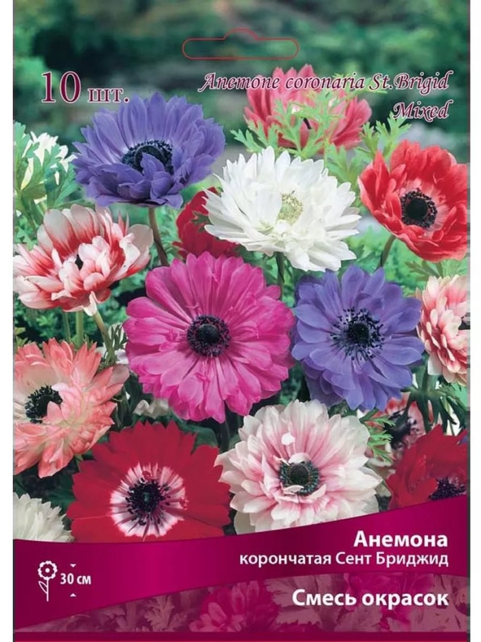 Анемона корончатая сент бриджид смесь окрасок