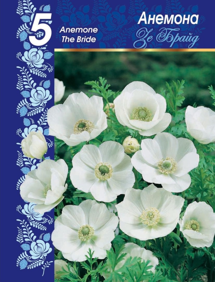 Анемона брайд