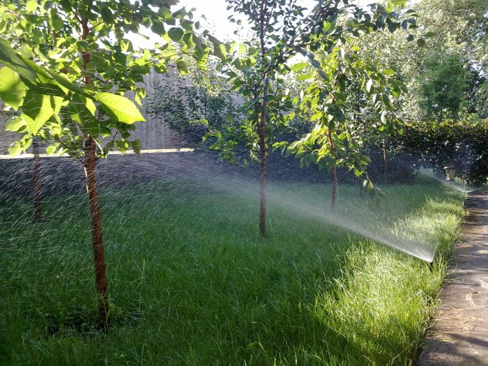 Дождевание полив орошение