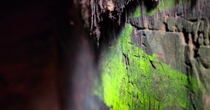 Стена пещеры