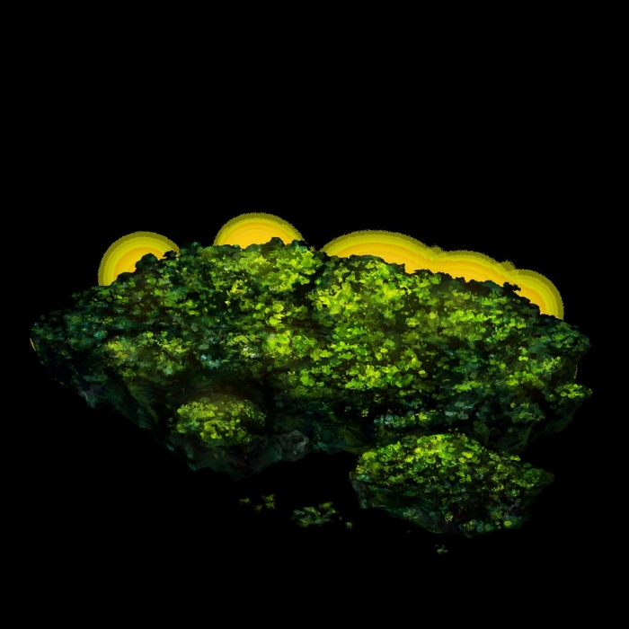 Светящиеся растения